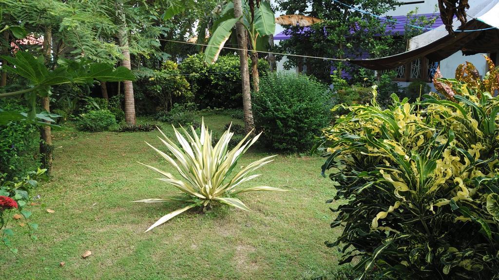 Arabian Soul Bed & Breakfast Varkala Exterior photo